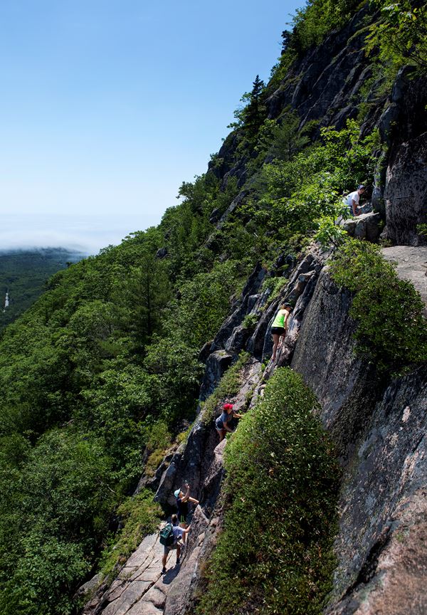 Hikers climb a granite cliff on iron rungs bolted into the rock on the Precipice Trail.