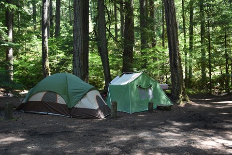 Two tents in campground surrounded by forest