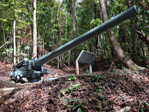 Japanese Artillery Gun in a Piti Jungle