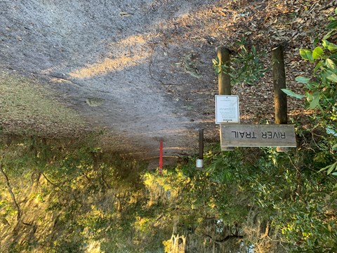 Sign with text "river trail" with a path leading into the forest behind.