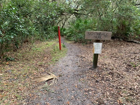 Sign with text "Nightengale trail" with a path leading into the forest beyond.