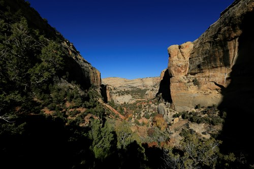 Bull Canyon Trail