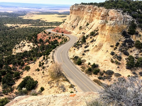 The paved Harpers Corner Road winds around yellow sandstone buttes dotted with desert shrubs.