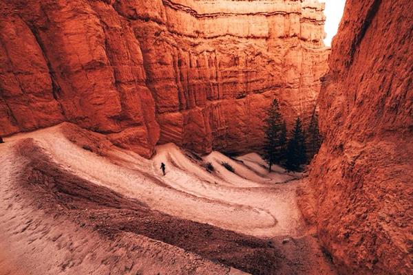 Switchbacks descend along a redrock trail between tall walls of rock and trees