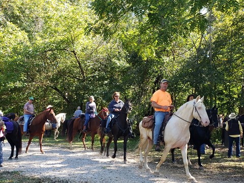 a group of horseback riders riding white, black and brown horses in casual clothing
