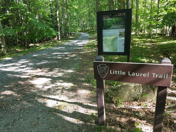 View of the beginning of the Little Laurel Trail from the Grandview location. The trail is wooded.