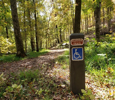 a leafy path going through woods with large trees and a post with slough trail and handicap sign