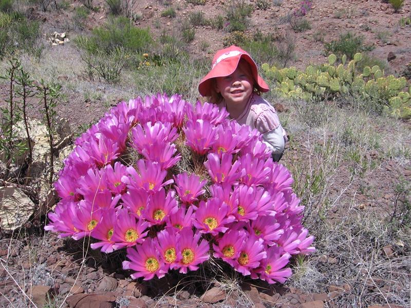 Big Bend Junior Rangers