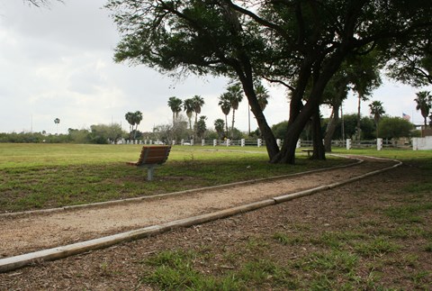 Bench sits besides a gravel trail under ebony trees.