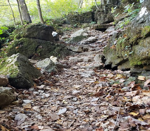 a leafy trail going through large rocks on side of trail ascending