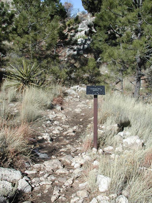 A trail junction with a metal sign