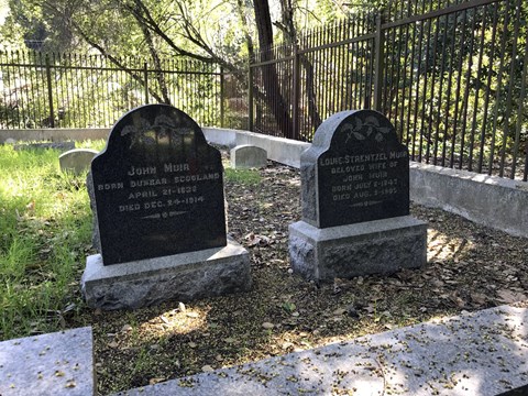 Two gravestones set amongst some grass and trees.