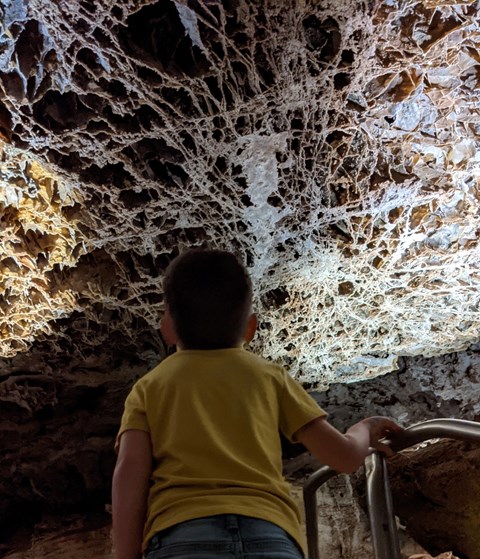 A young visitor on a cave stairway stops to look at boxwork on the ceiling above him