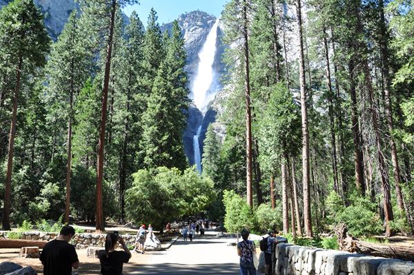 Visitors viewing Yosemite Falls from the trailhead with a full waterfall in the background.