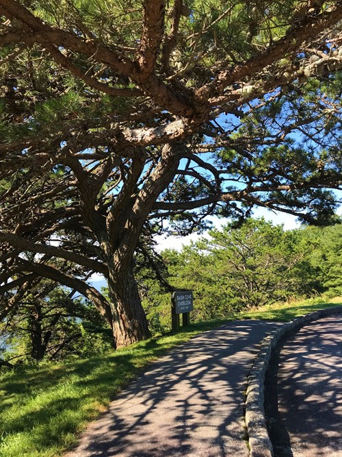 Basin Cove Overlook