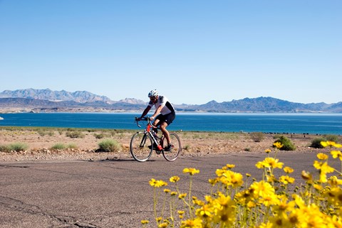 A cyclist on a trail with a lake in the background