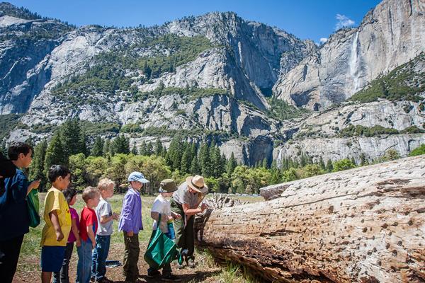 Ranger and junior rangers during a program in the meadow looking at a log, Yosemite Falls in back.