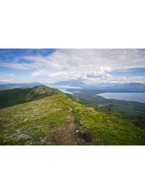 A footpath through green tundra with expansive views of two lakes behind