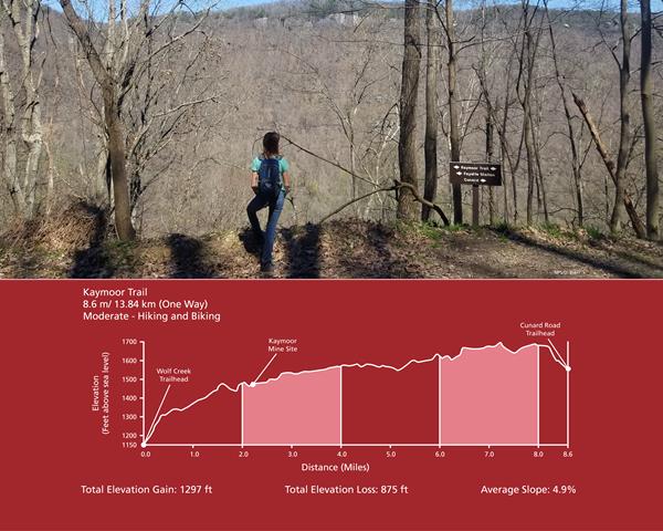 A young hiker overlooks the gorge along a forest trail, below, the elevation change of the trail