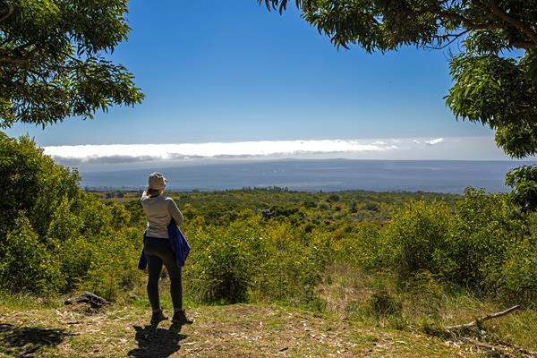 A person looks out from a clearing in trees looking down the slopes of a mountain toward the ocean