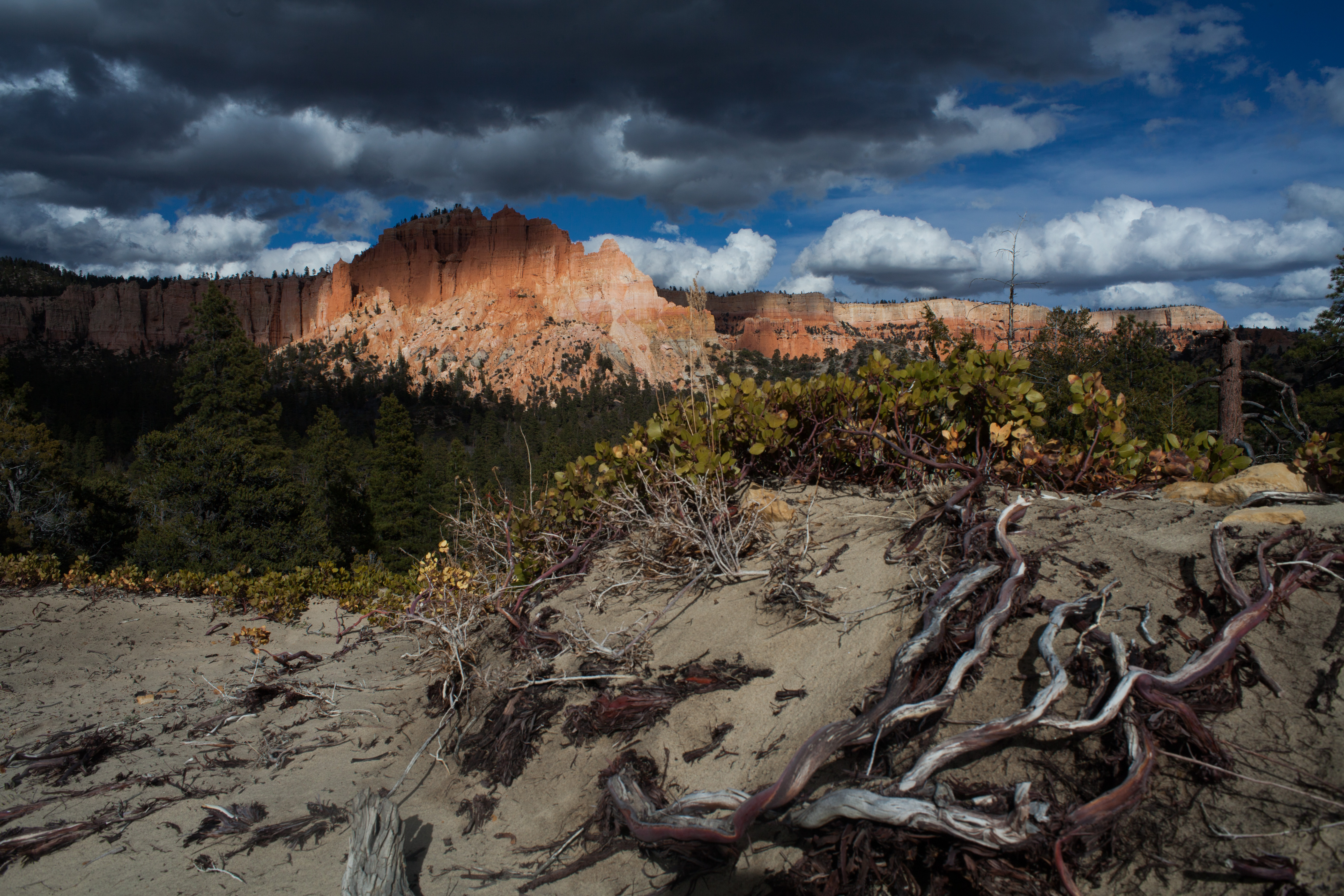 Swamp Canyon Loop Trailhead