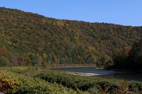 Blue river bends around tall forested hills in colors of orange, red, yellow, and green.