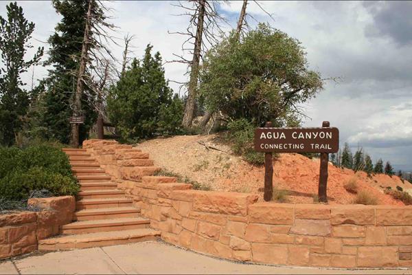 A sign reading Agua Canyon Connecting Trail leads up stairs to a forested cliff