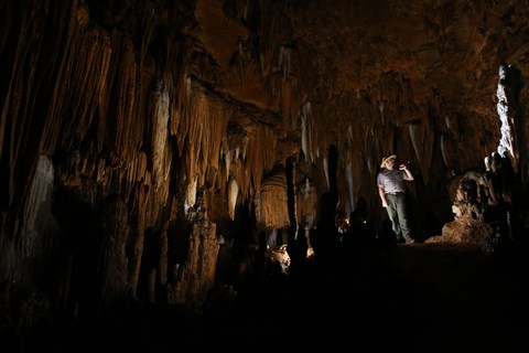 A ranger points at cave formations within a dark cave room.