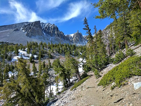 Green trees sit on a slope with sharp, cragged rock cliffs beyond, forming a wall.
