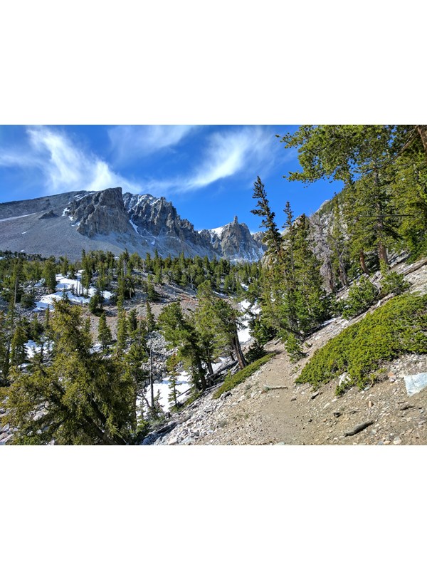 Green trees sit on a slope with sharp, cragged rock cliffs beyond, forming a wall.