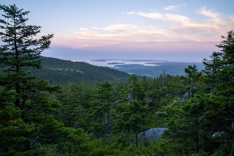 Sunset view over a forest and mountains