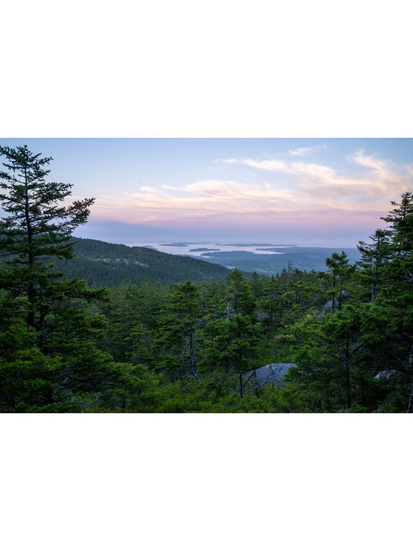 Sunset view over a forest and mountains