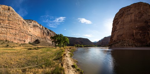The Green River flows past trees under a blue sky along the Confluence Trail.