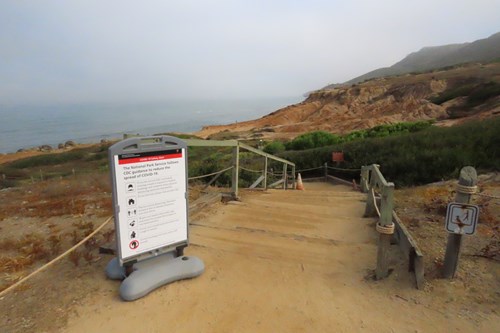 Coastal Trail View of the Kelp Forest