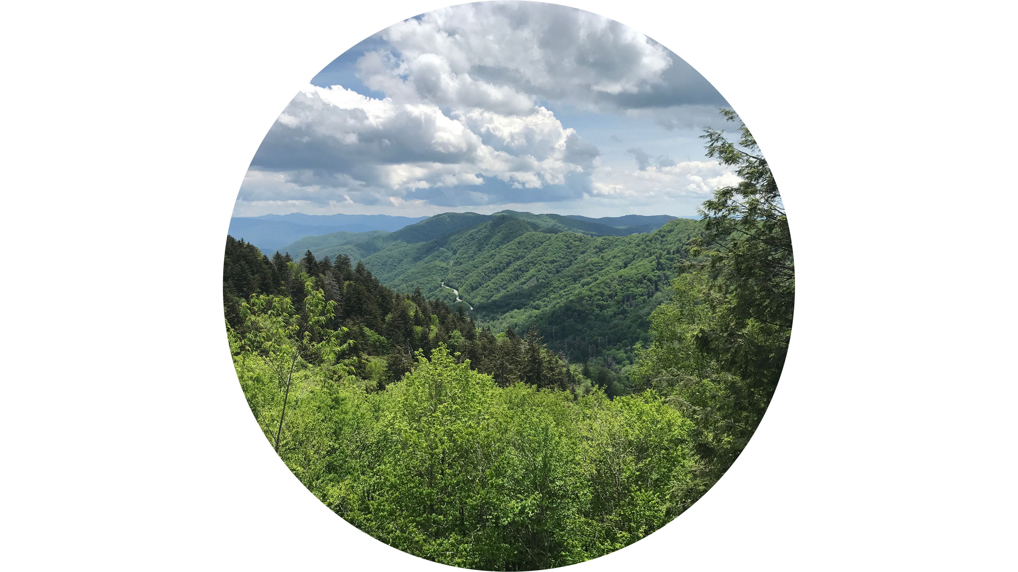 Newfound Gap Road scenic drive