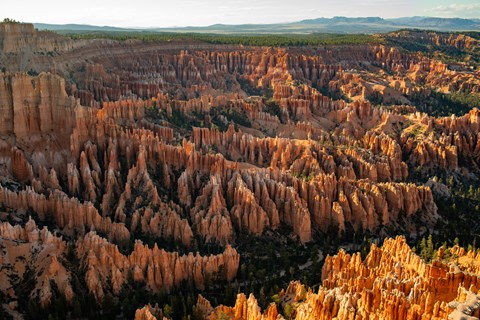 A landscape of red rocks at sunrise.