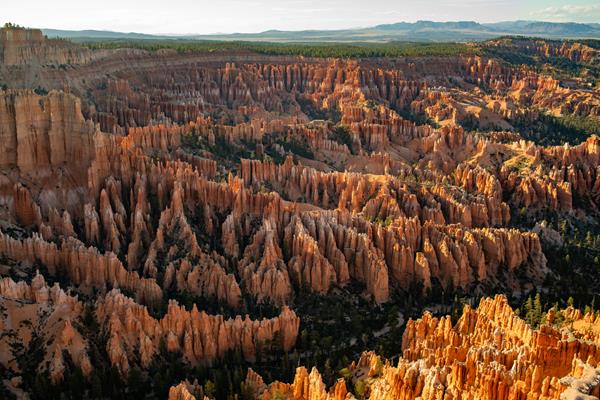 A landscape of red rocks at sunrise.