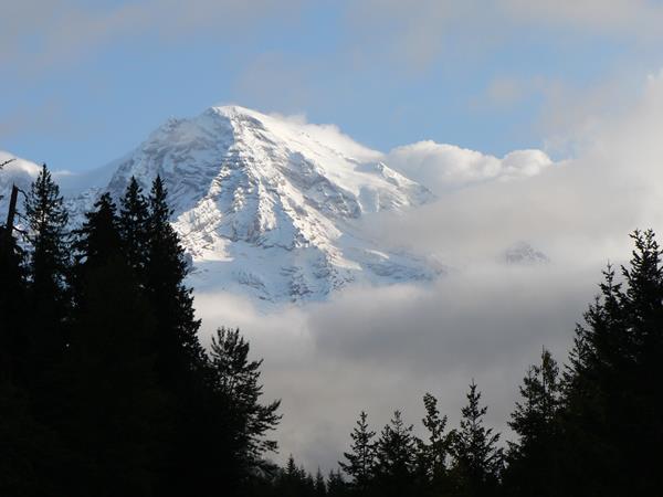 Snow-covered Mount Rainier peaks above the tops of trees.