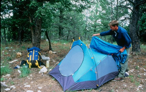 A hiker sets up a blue tent in a forest
