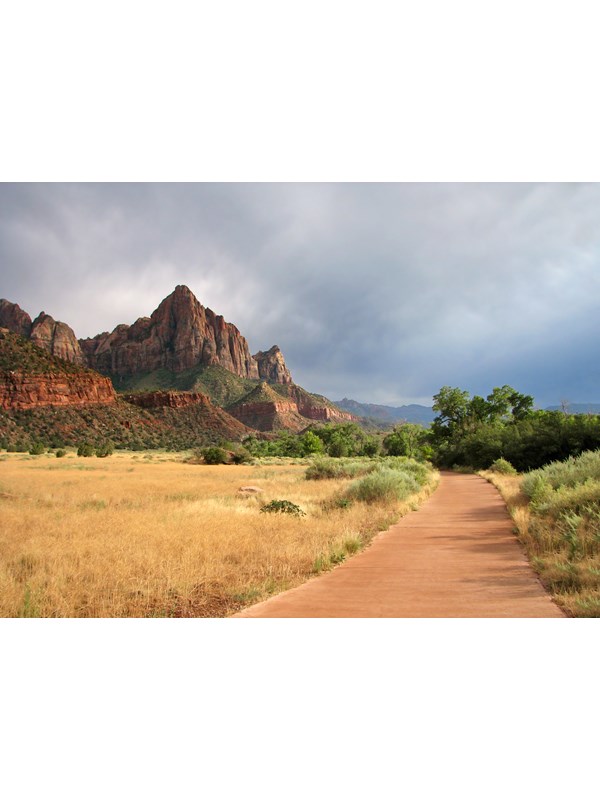 A tan, paved trail cuts through a meadow of yellow grasses toward a triangular sandstone mountain.