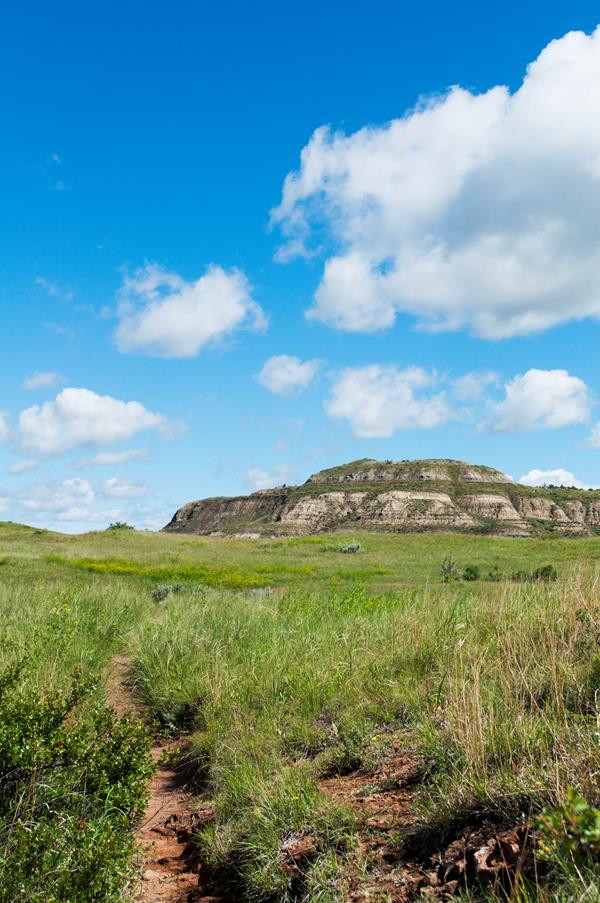 A scene of a grassy prairie, with a butte rising under a blue sky in the background.