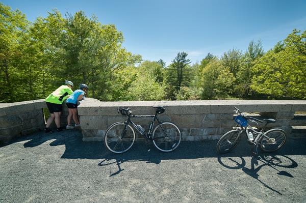 Two people with bicycles looking over a ledge on a bridge