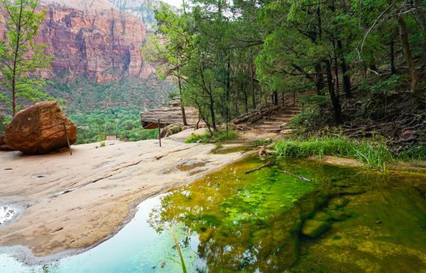 A pool of green water on a sandstone cliff surrounded by green foliage with a mountain in the back.
