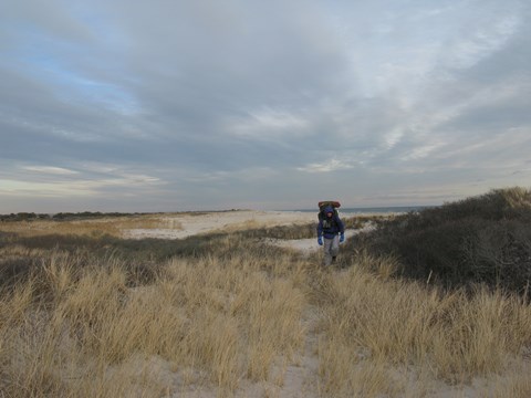 A man with a large backpack walks through sandy trails, dunes, and thickets.