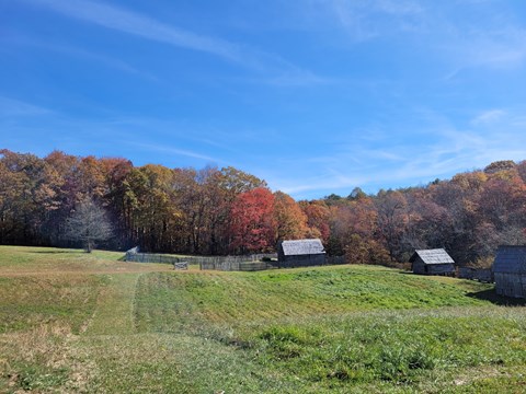 several wooden cabins nestled among trees displaying fall colors.