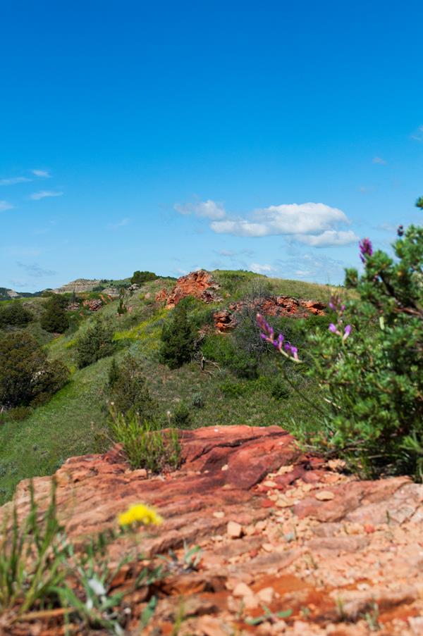 A view of the green badlands, seen from the edge of a clinker cliff. Purple flowers bloom nearby.