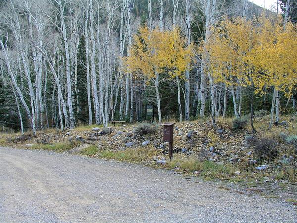 Gravel road with interpretive sign in the distance with aspens trees changing colors