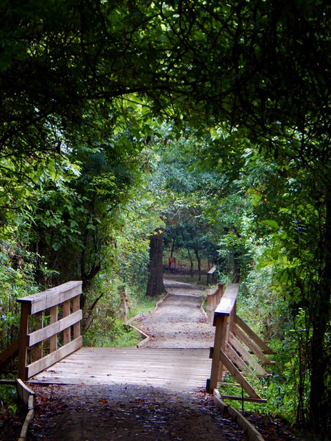A wooden bridge and gravel path through an arch of green vegetation.