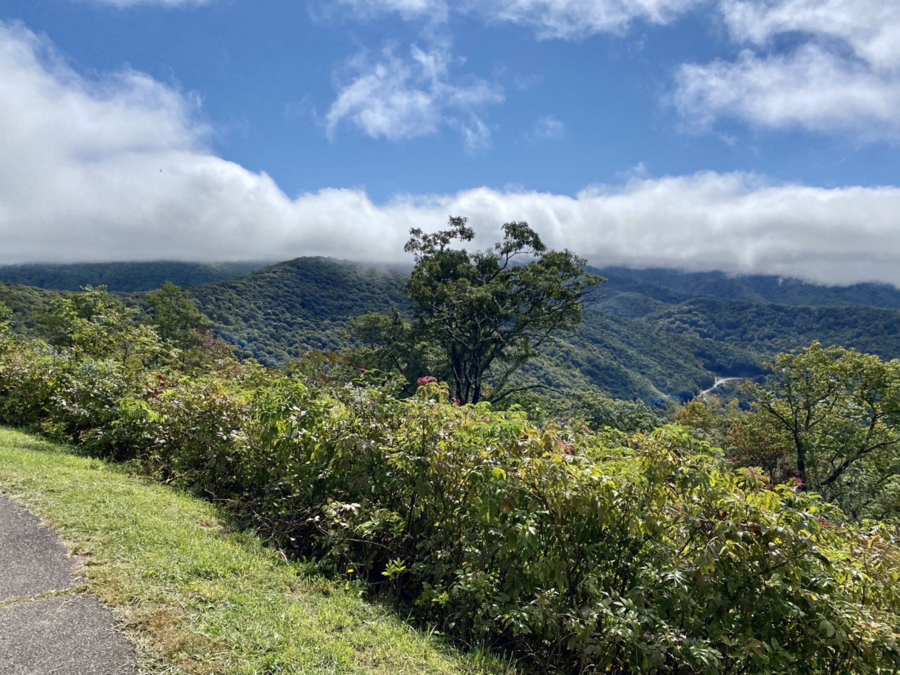 Plott Balsam Overlook