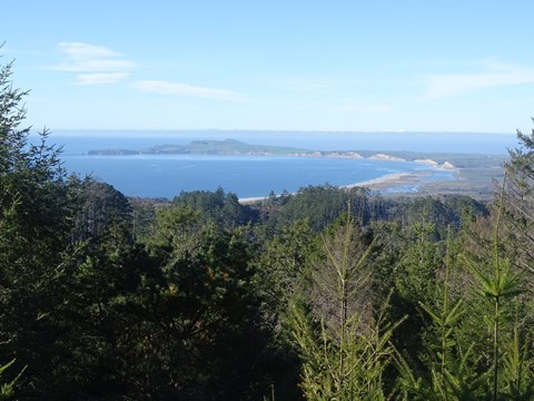 Conifers in the foreground frame a ten-mile-long hook-shaped peninsula stretching into the ocean,